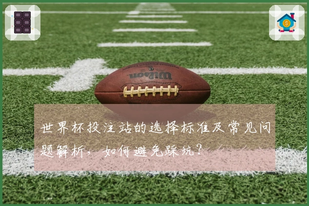 世界杯投注站的选择标准及常见问题解析，如何避免踩坑？