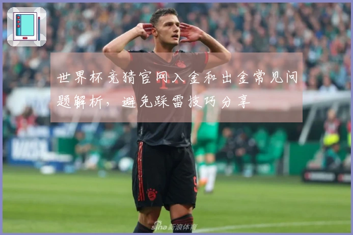 世界杯竞猜官网入金和出金常见问题解析，避免踩雷技巧分享