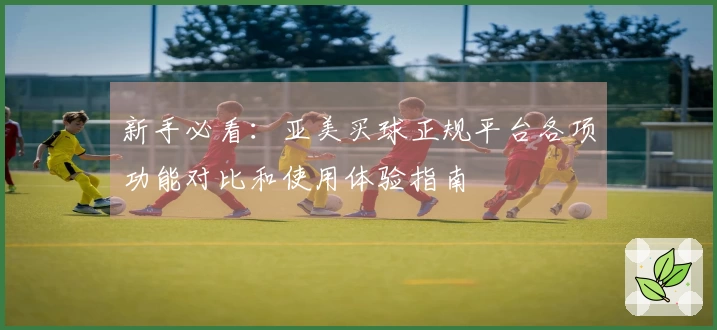 新手必看：亚美买球正规平台各项功能对比和使用体验指南