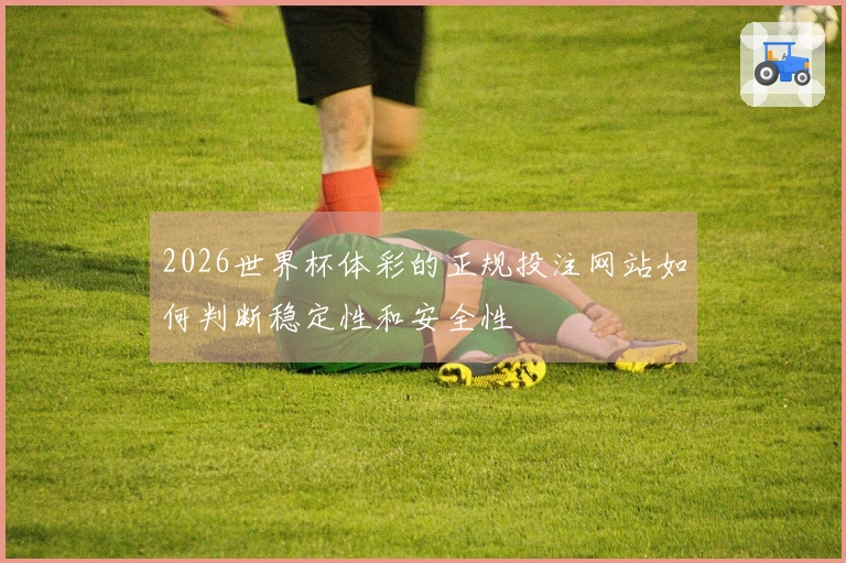 2026世界杯体彩的正规投注网站如何判断稳定性和安全性