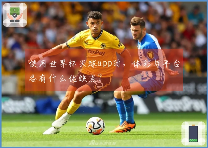 使用世界杯买球app时，体彩与平台各有什么优缺点？