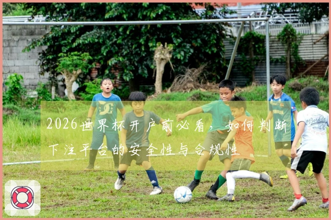 2026世界杯开户前必看，如何判断下注平台的安全性与合规性