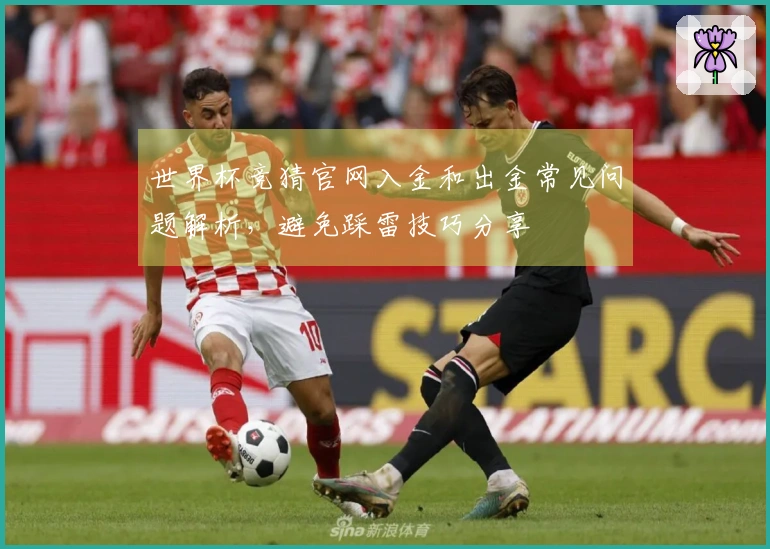 世界杯竞猜官网入金和出金常见问题解析，避免踩雷技巧分享