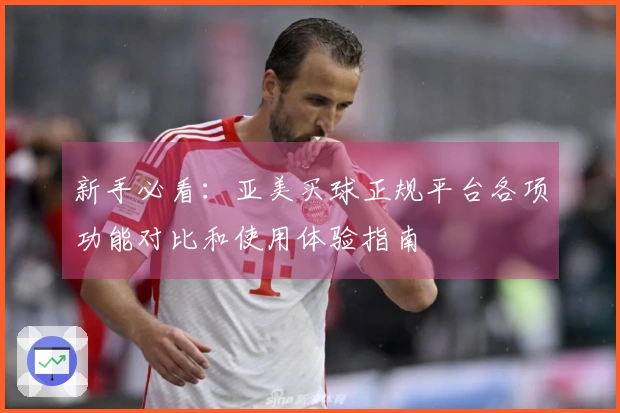 新手必看：亚美买球正规平台各项功能对比和使用体验指南