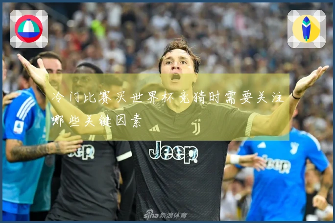 冷门比赛买世界杯竞猜时需要关注哪些关键因素
