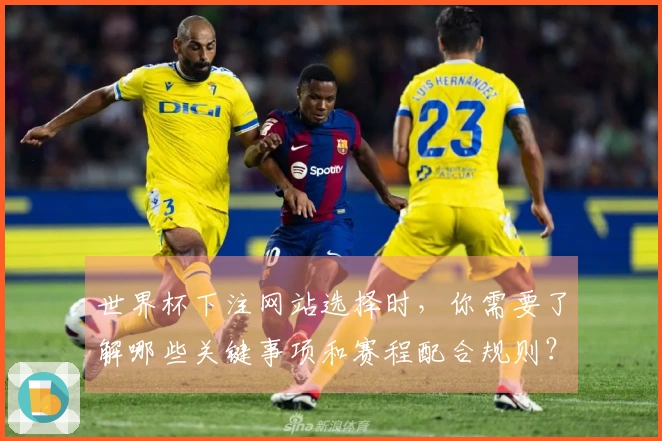 世界杯下注网站选择时，你需要了解哪些关键事项和赛程配合规则？