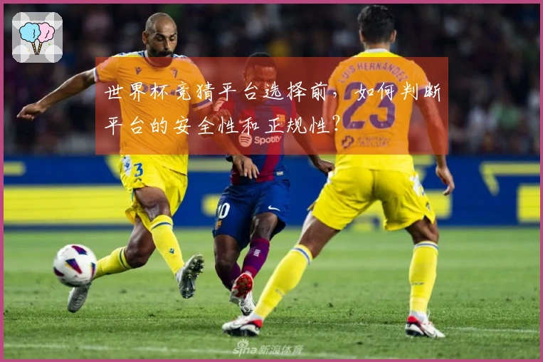 世界杯竞猜平台选择前，如何判断平台的安全性和正规性？