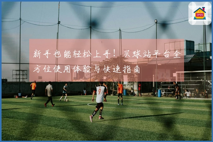 新手也能轻松上手！买球站平台全方位使用体验与快速指南