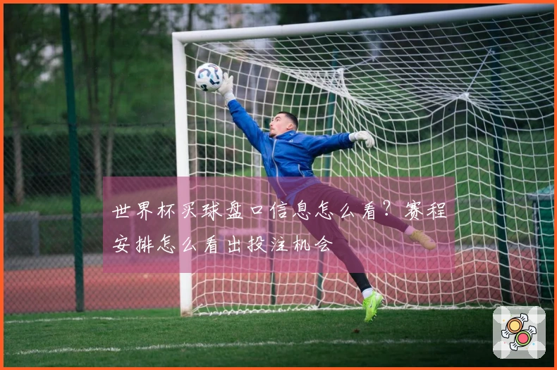 世界杯买球盘口信息怎么看？赛程安排怎么看出投注机会