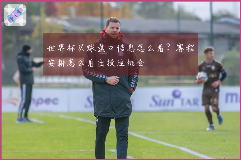 世界杯买球盘口信息怎么看?赛程安排怎么看出投注机会